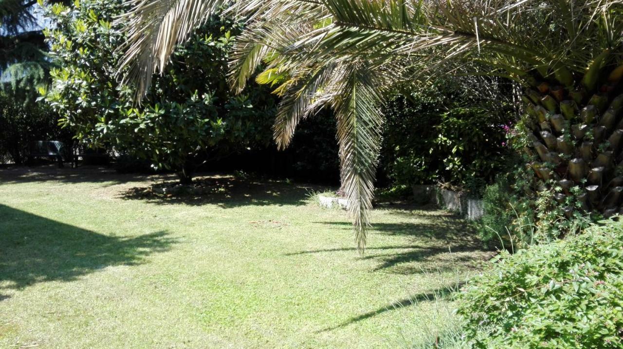 Appartamento Giardino Sugli Ulivi *