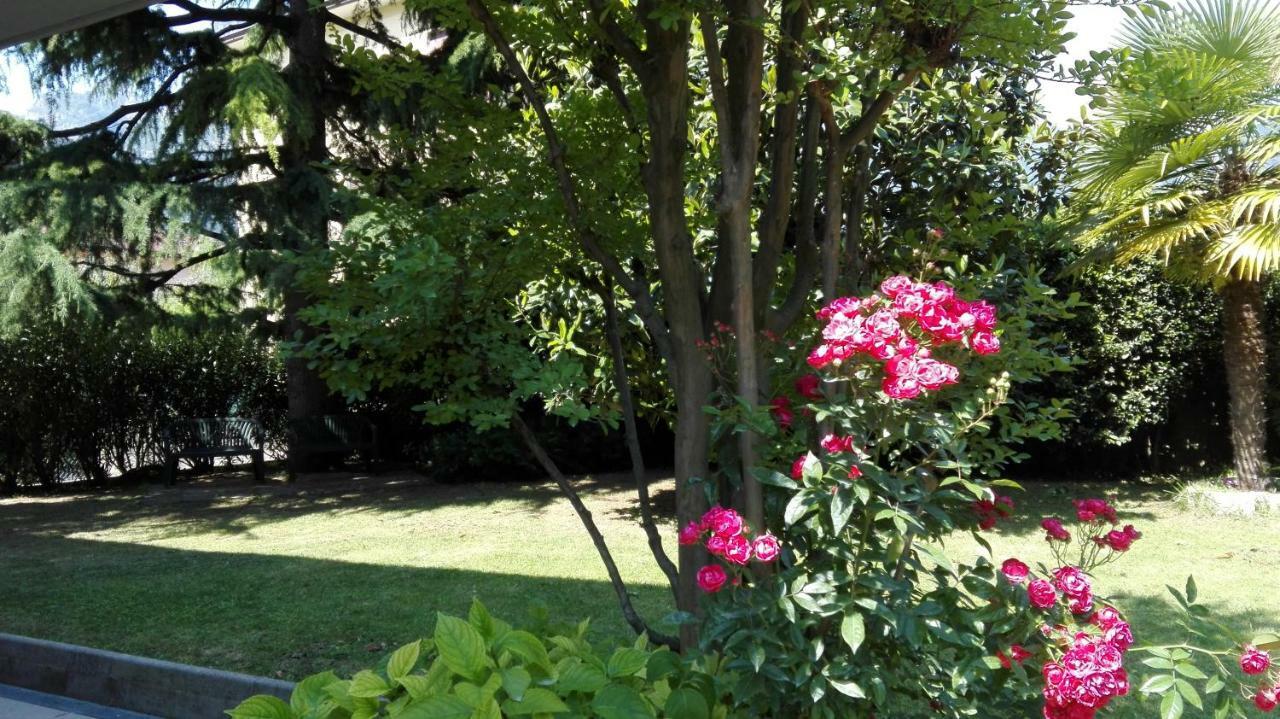 Giardino Sugli Ulivi Appartement Riva del Garda